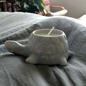 Homemade Candle in Ceramic Pale Blue Turtle